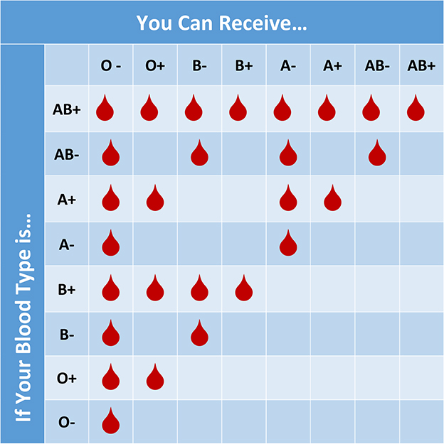 Blood-Chart