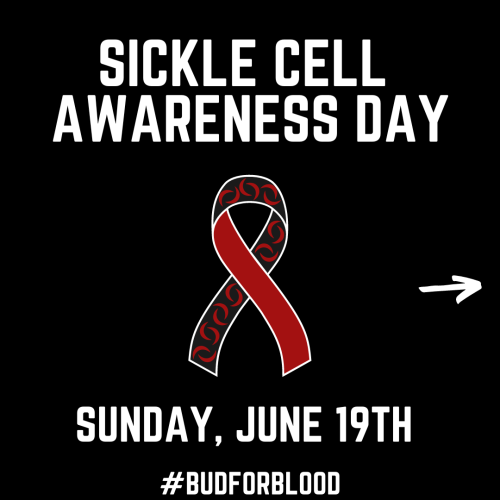 Sickle Cell Awareness Day
